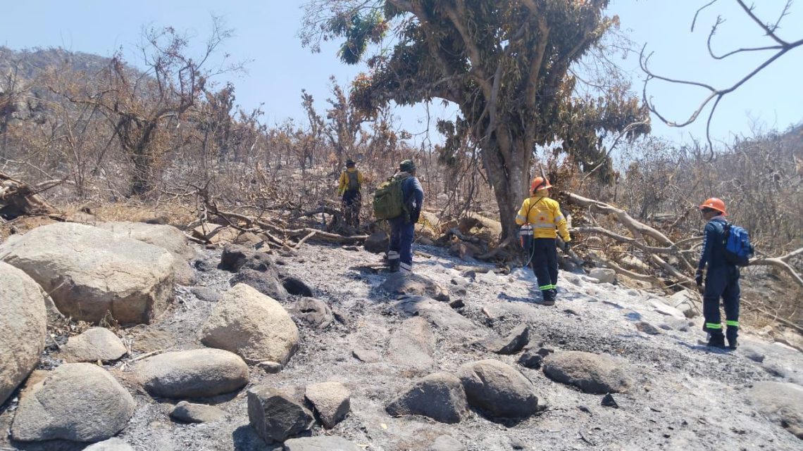 Controlado al 100 por ciento el incendio forestal de El Veladero en Acapulco