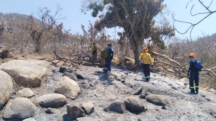 Controlado al 100 por ciento el incendio forestal de El Veladero en Acapulco
