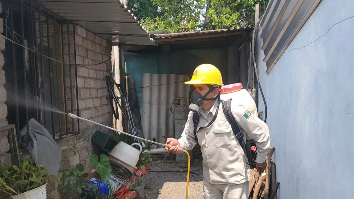 No bajar la guardia en el combate al dengue desde el hogar, recomienda Salud No bajar la guardia en el combate al dengue desde el hogar, recomienda Salud