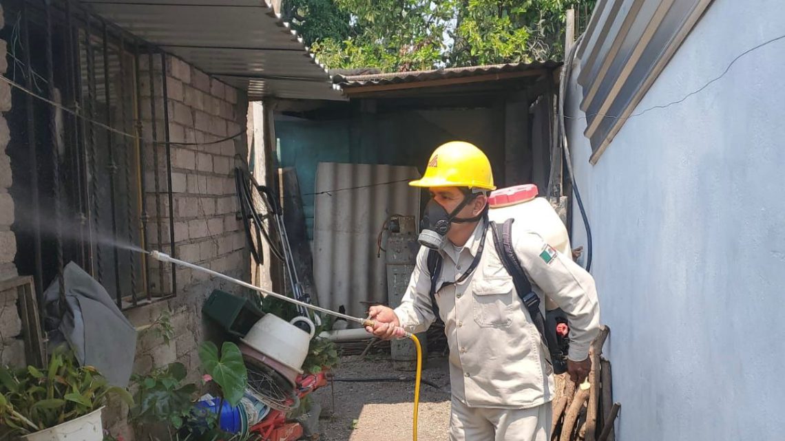 No bajar la guardia en el combate al dengue desde el hogar, recomienda Salud