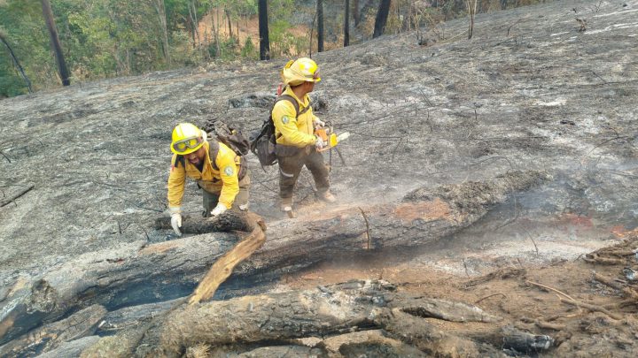 Gobierno de Guerrero atiende 5 incendios forestales en Chilpancingo
