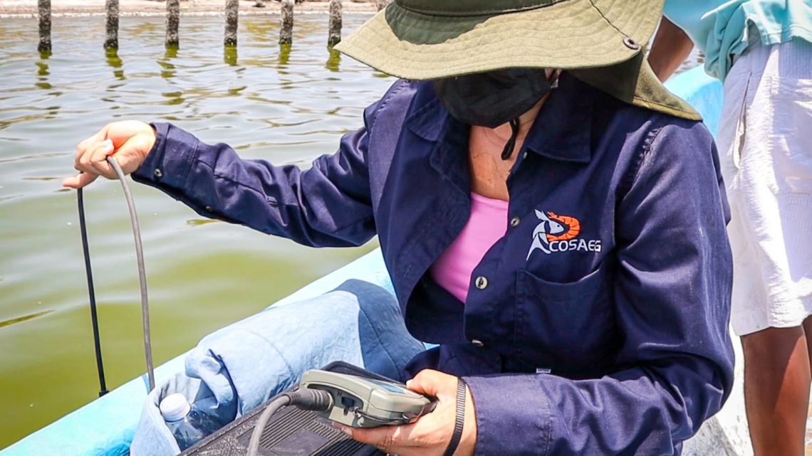 Atiende Sagadegro situación de mortandad de peces en laguna de Chautengo Atiende Sagadegro situación de mortandad de peces en laguna de Chautengo