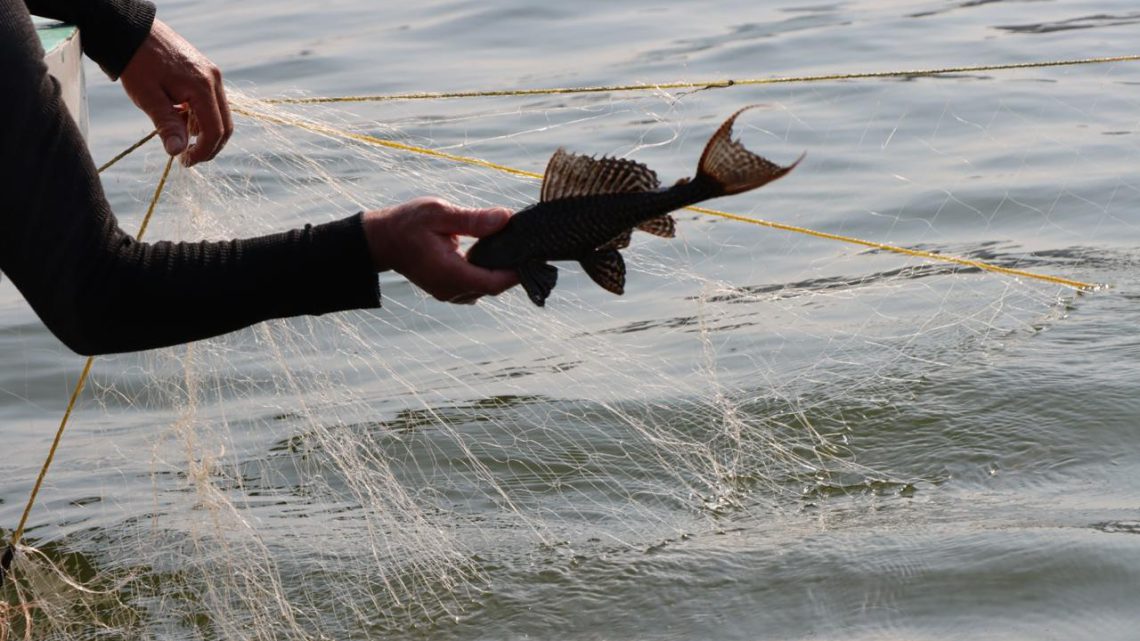 Busca Minera Media Luna alternativas económicas para pescadores del Balsas