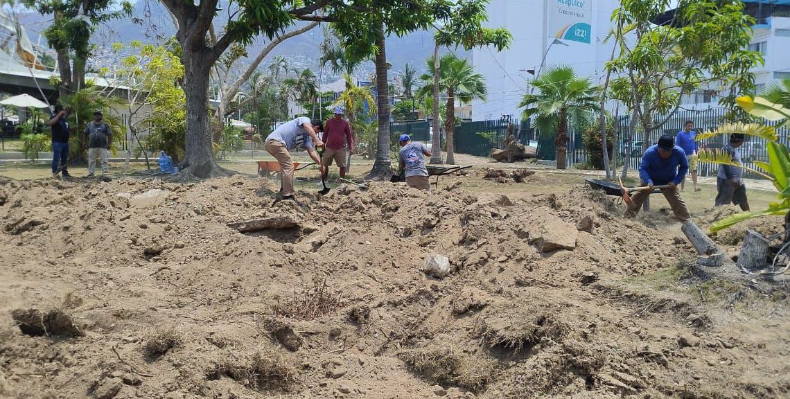 El Parque Papagayo se prepara para la reforestación con medio millón de árboles y plantas El Parque Papagayo se prepara para la reforestación con medio millón de árboles y plantas
