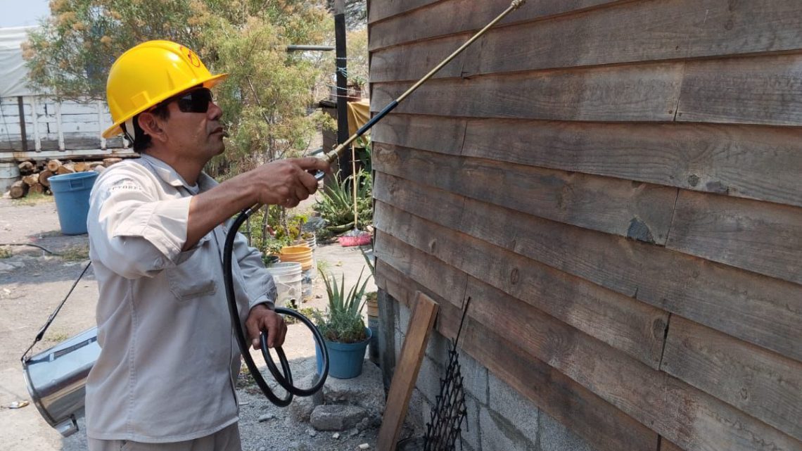 Mantiene la SSG acciones contra el mosco transmisor del dengue en Guerrero Mantiene la SSG acciones contra el mosco transmisor del dengue en Guerrero