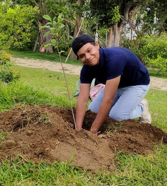 Cerca de 300 árboles se han plantado en el Parque Papagayo Cerca de 300 árboles se han plantado en el Parque Papagayo
