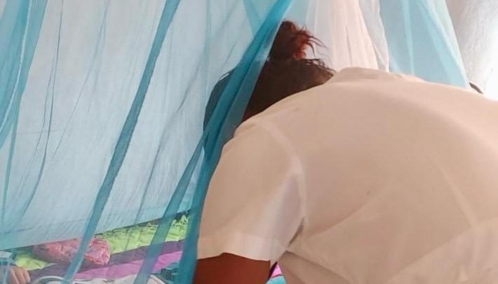 Confirma la SSG 33 casos de dengue en Teloloapan