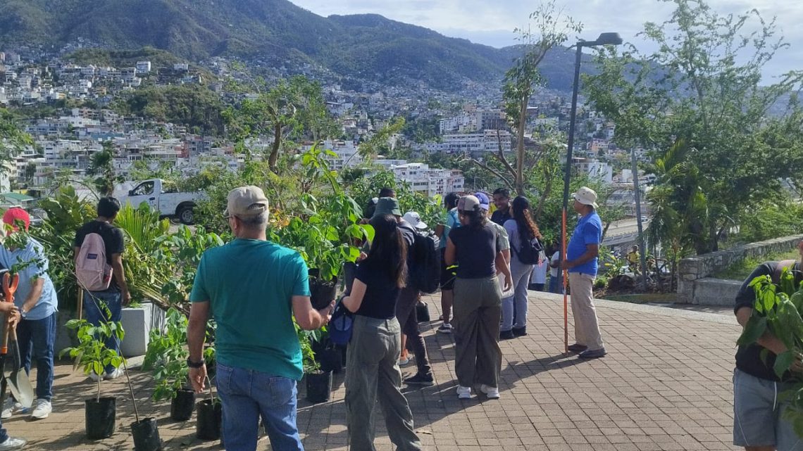 Con apoyo de la sociedad, avanza la reforestación del parque Papagayo que impulsa la gobernadora Evelyn Salgado Pineda Con apoyo de la sociedad, avanza la reforestación del parque Papagayo que impulsa la gobernadora Evelyn Salgado Pineda