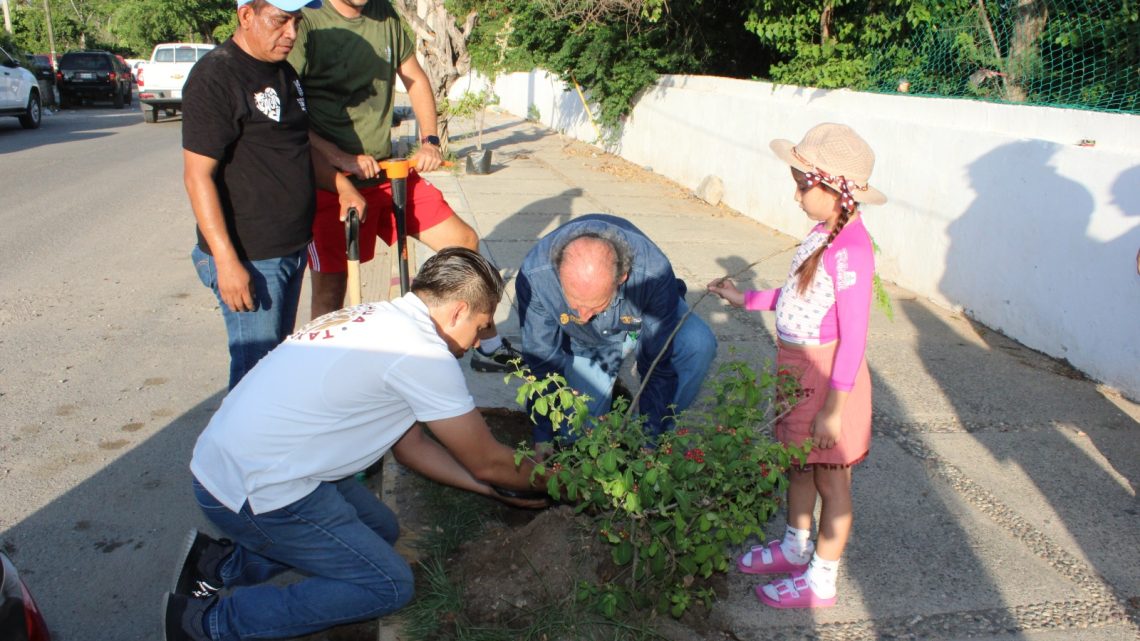 Realiza PROPAEG Jornada de Reforestación en zona afectadas por Otis en Acapulco Realiza PROPAEG Jornada de Reforestación en zona afectadas por Otis en Acapulco