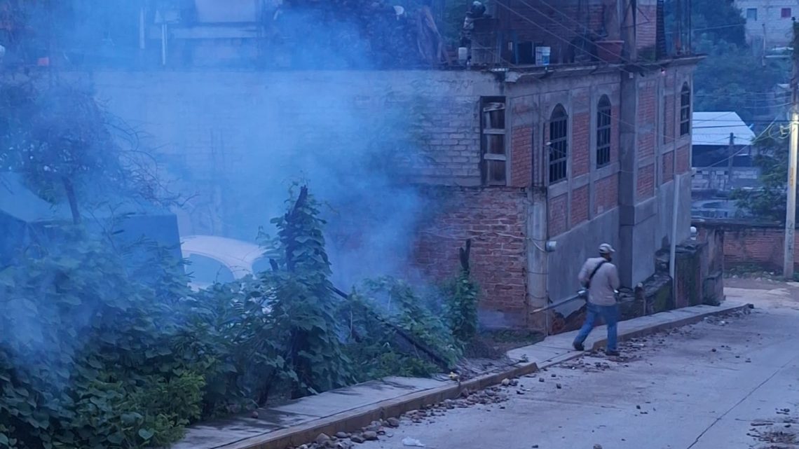 Refuerzan acciones para combatir el dengue en Tlapa Refuerzan acciones para combatir el dengue en Tlapa