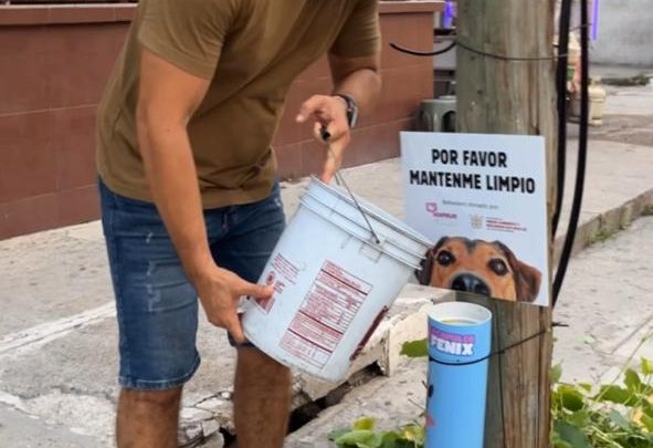 Fomenta Evelyn Salgado acciones en favor del bienestar animal en Guerrero