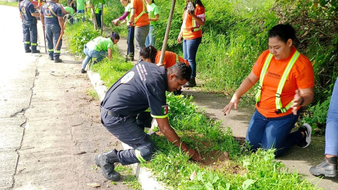 Evelyn Salgado impulsa la preservación del medio ambiente y reforestación en Chilpancingo Evelyn Salgado impulsa la preservación del medio ambiente y reforestación en Chilpancingo