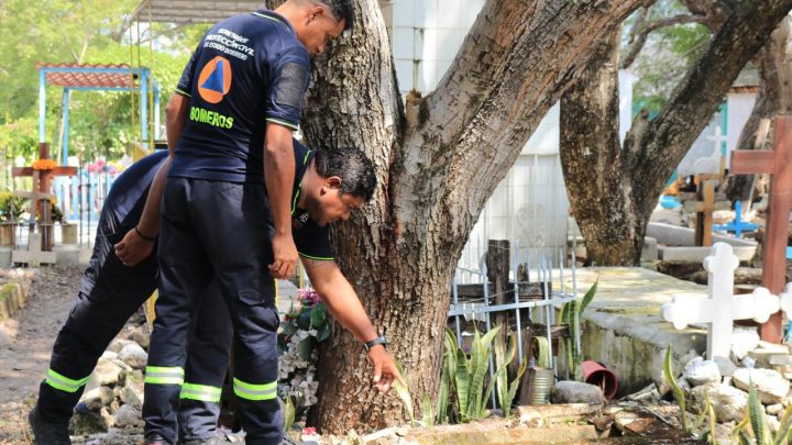 Instruye la gobernadora Evelyn Salgado acciones preventivas en panteones previo a la celebración del Día de Muertos