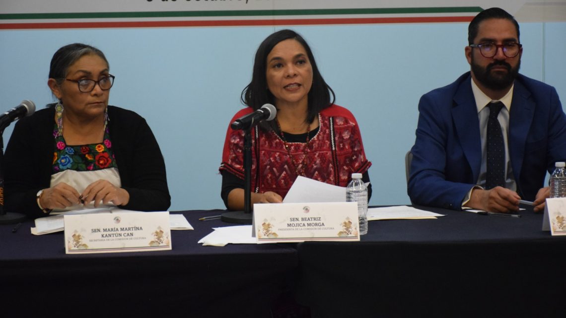 La primera senadora afrodescendiente preside una comisión en la Cámara de Senadores La primera senadora afrodescendiente preside una comisión en la Cámara de Senadores
