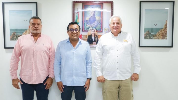 Logra gobierno de Evelyn Salgado superar expectativas en temporada decembrina, reconoce sector turístico