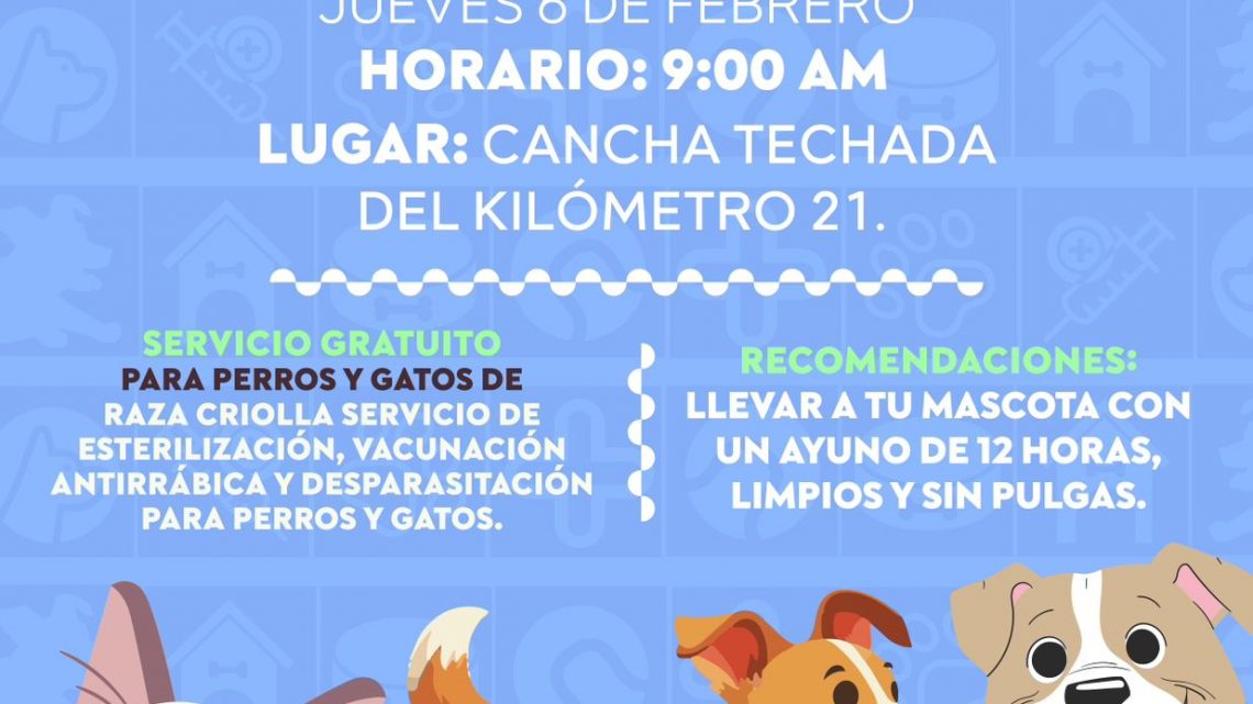 Alista Gobierno de Abelina López Rodríguez jornada itinerante de esterilización de mascotas Alista Gobierno de Abelina López Rodríguez jornada itinerante de esterilización de mascotas