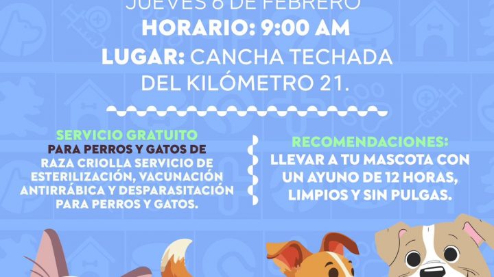 Alista Gobierno de Abelina López Rodríguez jornada itinerante de esterilización de mascotas