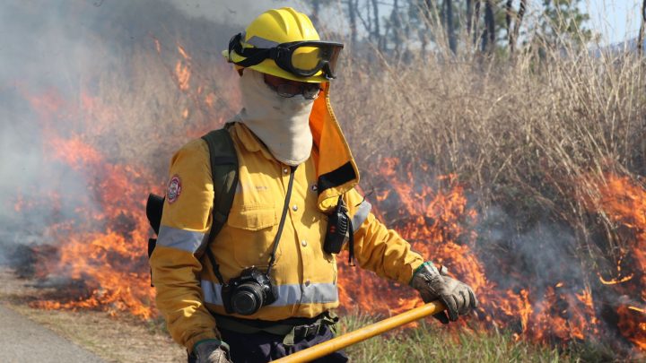 Gobierno de Guerrero inicia actividades físicas de prevención para la temporada de incendios forestales