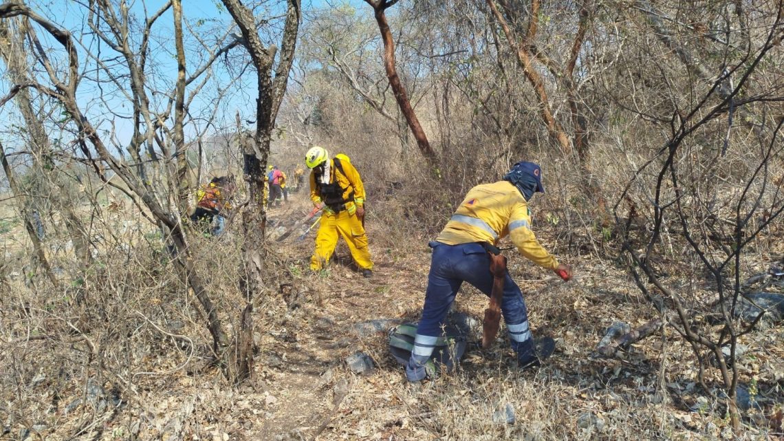 Brigadistas avanzan en el combate del incendio forestal en Iguala y sofocan siniestro en Taxco Brigadistas avanzan en el combate del incendio forestal en Iguala y sofocan siniestro en Taxco