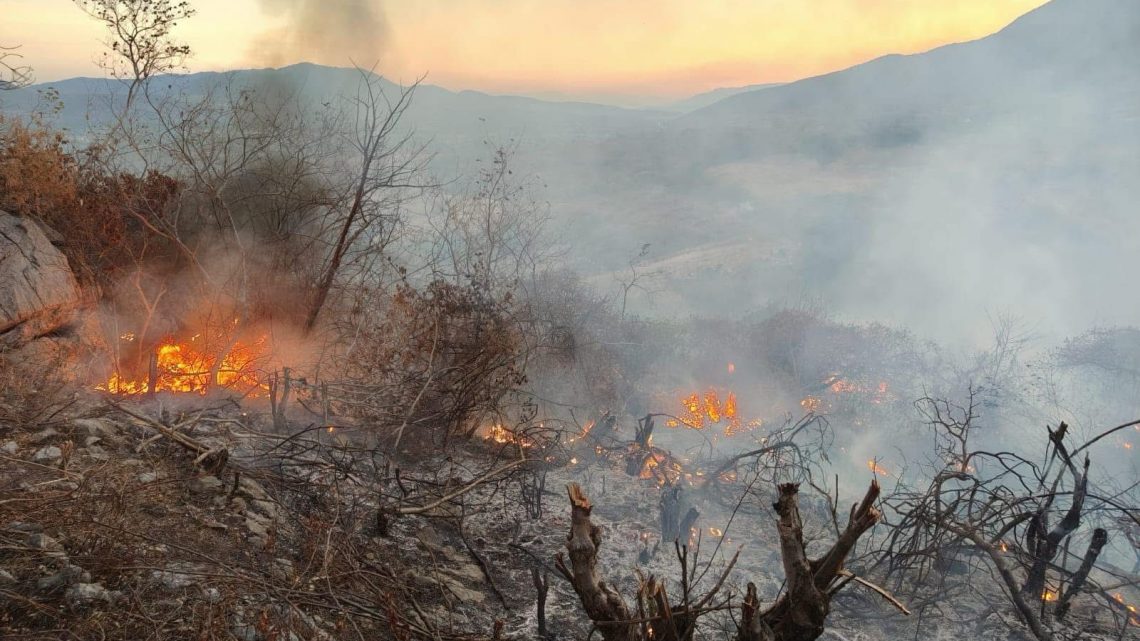 INCENDIO FORESTAL DE PLATANILLO NO REPRESENTA NINGÚN RIESGO PARA LA POBLACIÓN: SGIRPCGRO INCENDIO FORESTAL DE PLATANILLO NO REPRESENTA NINGÚN RIESGO PARA LA POBLACIÓN: SGIRPCGRO