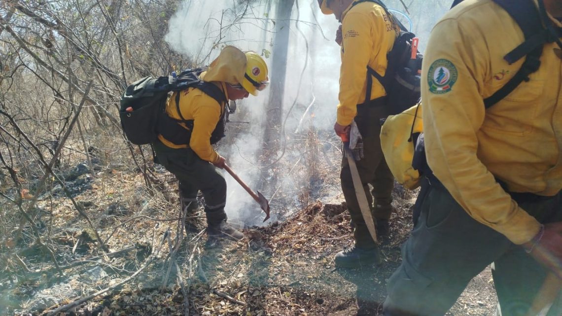 Este martes se mantienen los trabajos de liquidación del incendio forestal de Platanillo Este martes se mantienen los trabajos de liquidación del incendio forestal de Platanillo