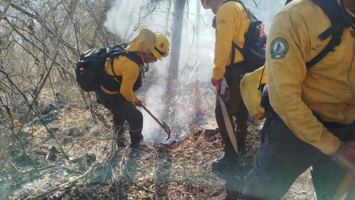 Este martes se mantienen los trabajos de liquidación del incendio forestal de Platanillo
