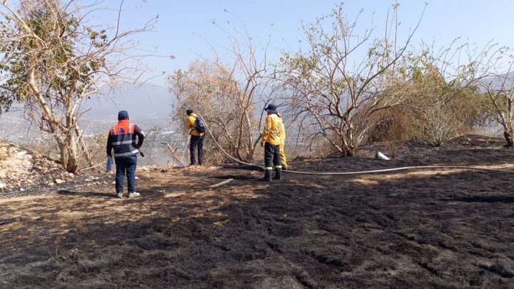 La SGIRPC: Registra temporada incendios forestales en 2025 menos siniestros respecto a 2024