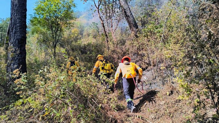 El incendio forestal en el cerro del Atachi en Taxco se encuentra al 90 por ciento de control: SGIRPCGRO