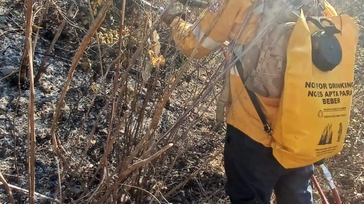 Brigadistas combaten incendio forestal al poniente de Chilpancingo