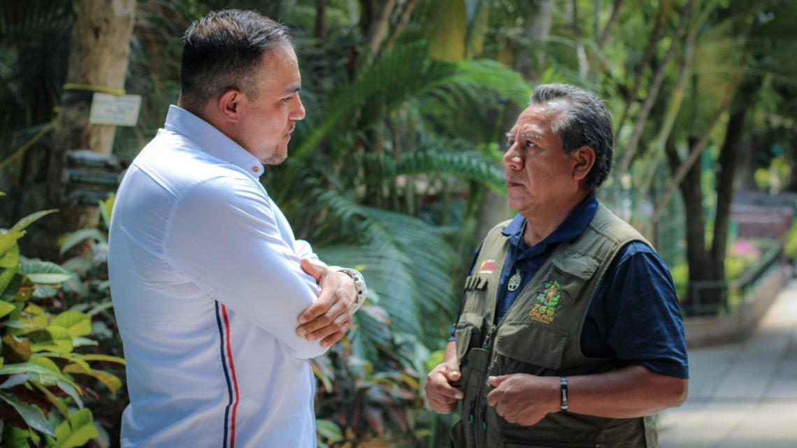 Toma protesta Rommel Francisco Rodríguez como nuevo director del Zoológico Zoochilpan de Chilpancingo Toma protesta Rommel Francisco Rodríguez como nuevo director del Zoológico Zoochilpan de Chilpancingo