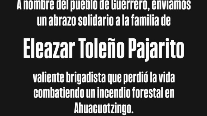 Fallece brigadista en Guerrero mientras combatía incendio forestal