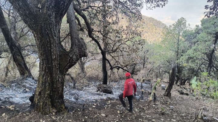 La SGIRPCGRO reporta liquidado el incendio forestal registrado en Taxco el Viejo