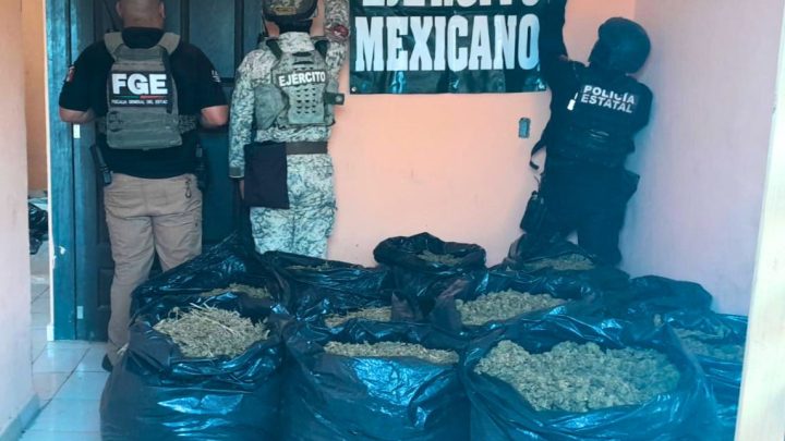 FGEGuerrero rescata a hombre de origen extranjero privado de la libertad y asegura droga en Tlacoachistlahuaca