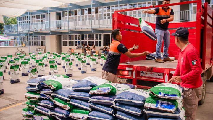 Sagadegro fortalece el campo guerrerense con la entrega de semilla mejorada de maíz