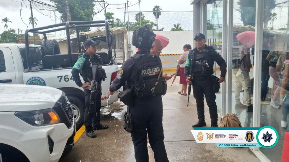 SSP Guerrero asegura 455 huevos de tortuga marina en Acapulco tras reporte ciudadano al 911 SSP Guerrero asegura 455 huevos de tortuga marina en Acapulco tras reporte ciudadano al 911
