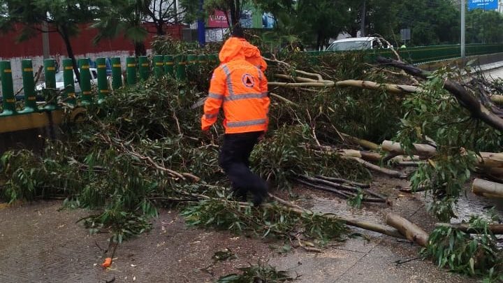 La SGIRPCGRO atiende diferentes servicios por lluvias registradas en Chilpancingo