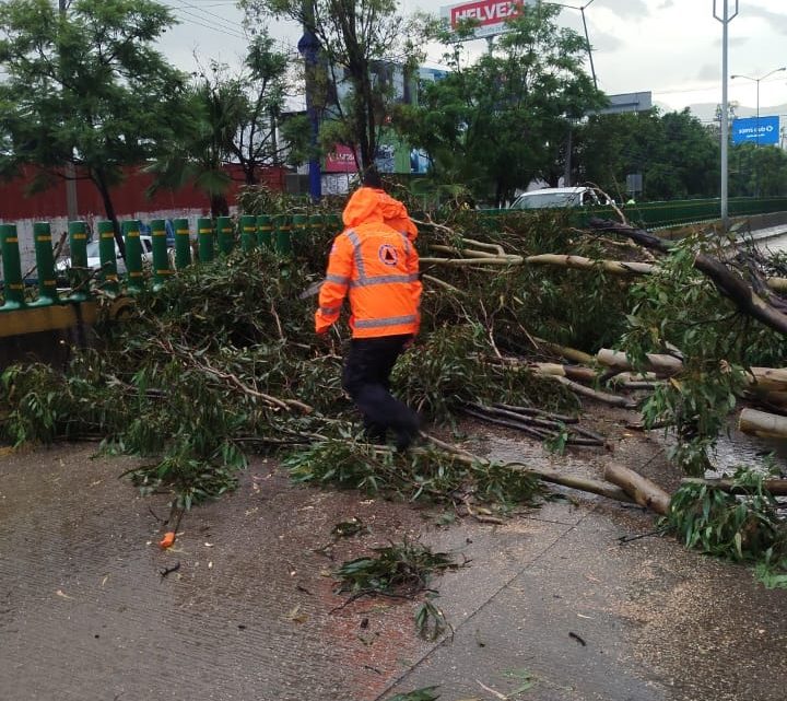 La SGIRPCGRO atiende diferentes servicios por lluvias registradas en Chilpancingo