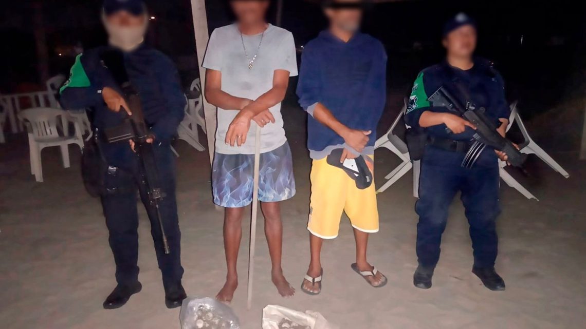 Aseguran en Barra Vieja a dos hombres con 367 huevos de tortuga marina