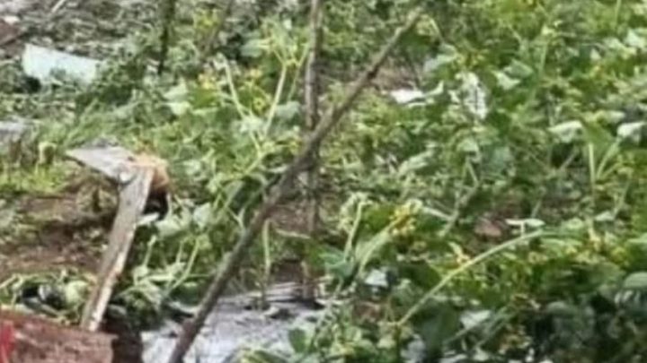 Se desploma helicóptero en Tepetlixpa; dos muertos