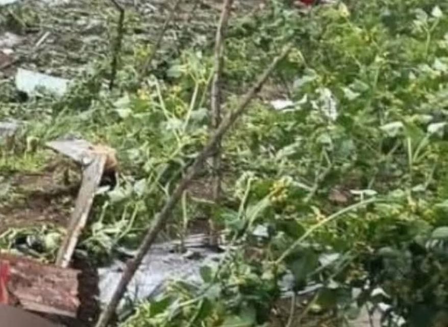 Se desploma helicóptero en Tepetlixpa; dos muertos