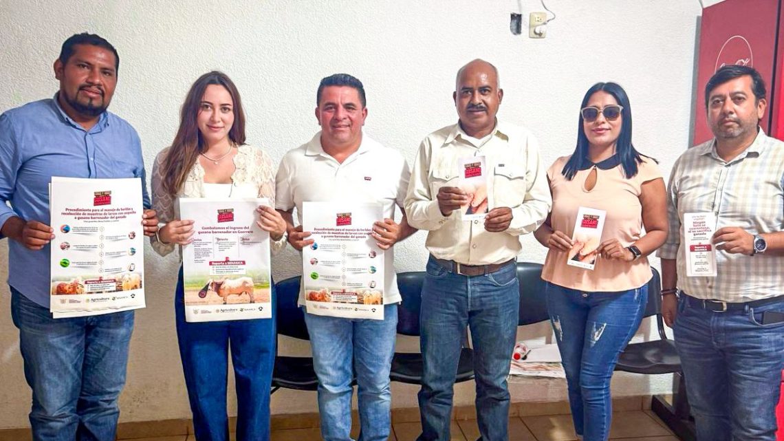 La SAGADEGRO refuerza campaña contra el gusano barrenador en la Costa Chica