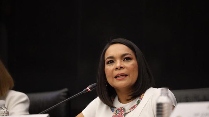 Morena es la fuerza política mayoritaria en Guerrero y la unidad debe ser prioridad rumbo a 2027: Mojica Morga