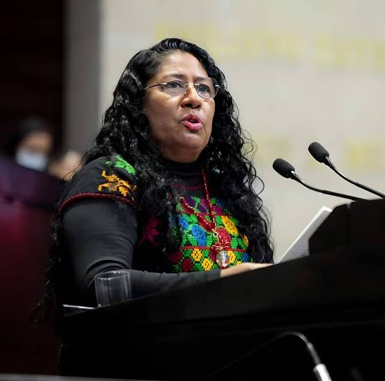 Ex diputada de Morena aprovechó fuero para entrar a la SEG