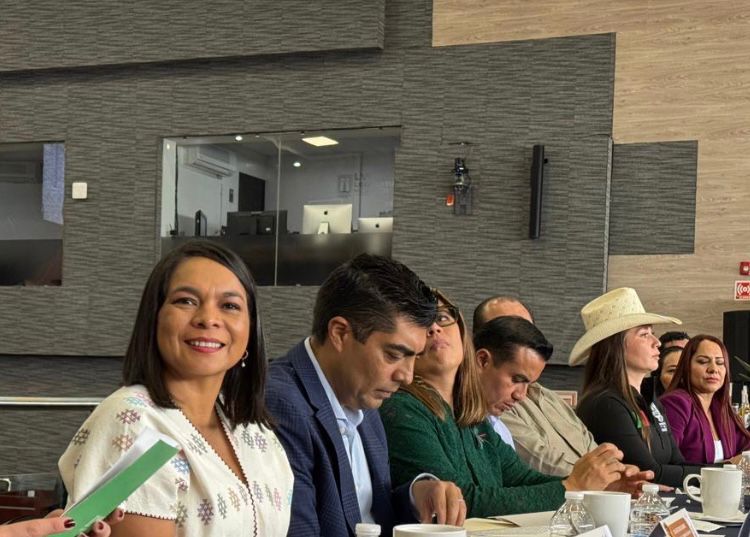 Senadora Beatriz Mojica impulsa un nuevo modelo fiscal para fortalecer al mezcal artesanal