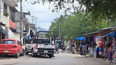 Detienen a dos hombres durante despliegue policiaco en La Venta de Acapulco