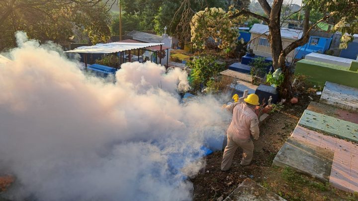 La SSG refuerza acciones contra enfermedades por vector en panteones