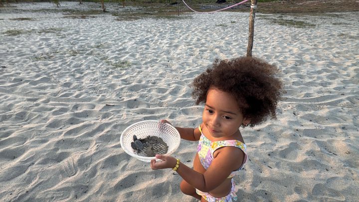 El día que Nina liberó una tortuga en Tecoanapa