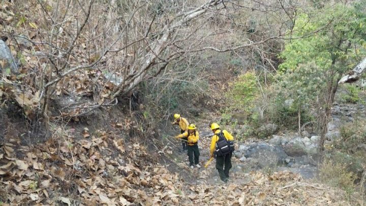SGIRPCGRO reportó liquidado incendio forestal de Rincón de la Vía