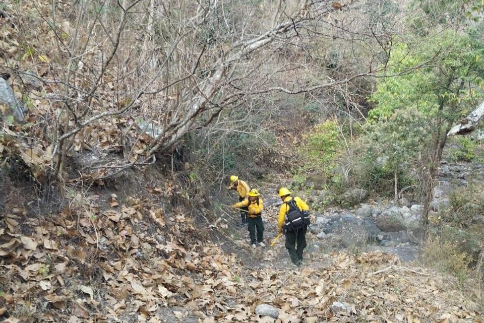 SGIRPCGRO reportó liquidado incendio forestal de Rincón de la Vía